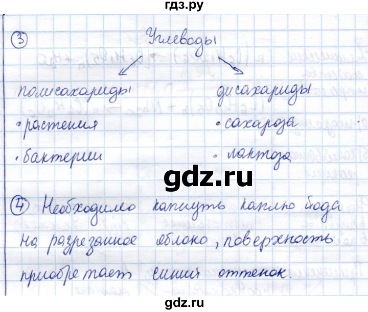 ГДЗ по химии 10 класс Габриелян рабочая тетрадь Базовый уровень дисахариды. Полисахариды - Проверьте себя, Решебник
