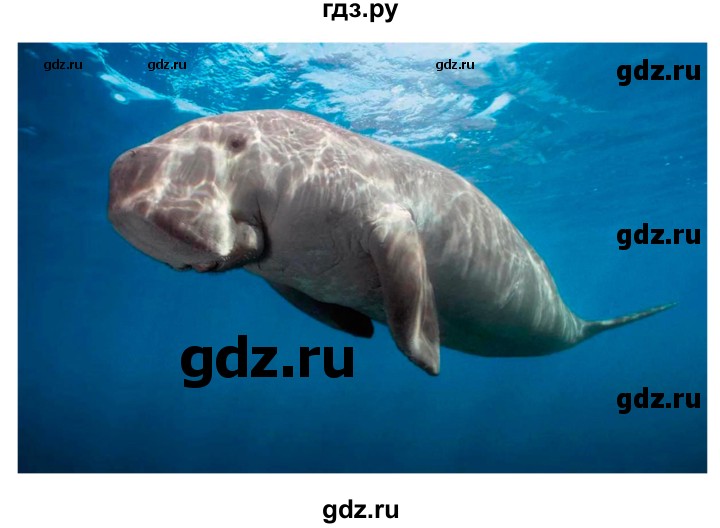 ГДЗ по географии 7 класс  Алексеев   страница - 89, Решебник 2022