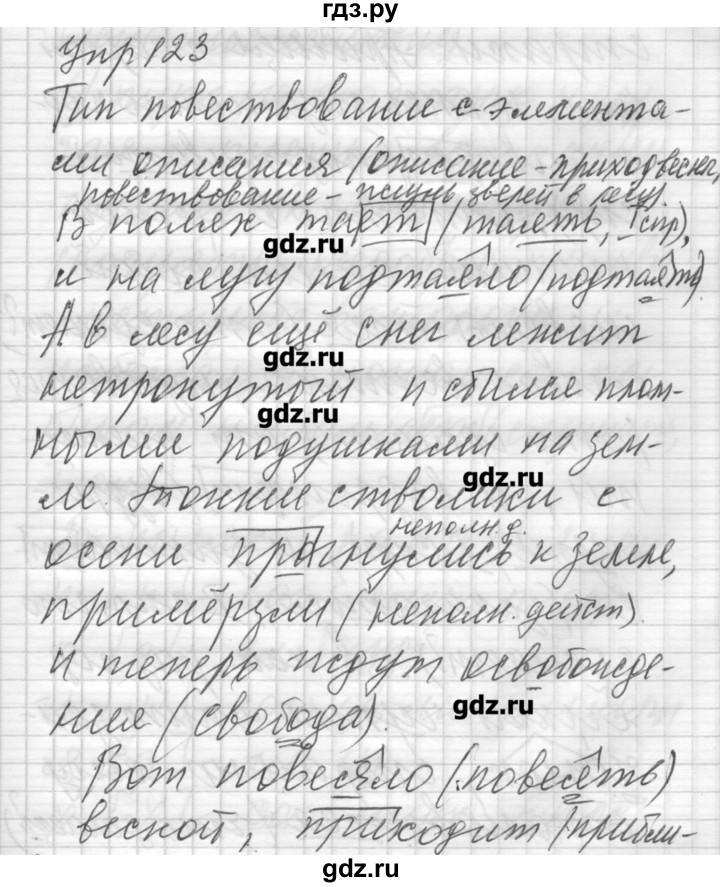 ГДЗ по русскому языку 6 класс Бунеев   упражнение - 123, Решебник