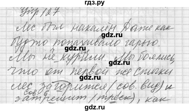 ГДЗ по русскому языку 6 класс Бунеев   упражнение - 127, Решебник