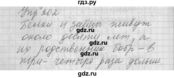 ГДЗ по русскому языку 6 класс Бунеев   упражнение - 202, Решебник