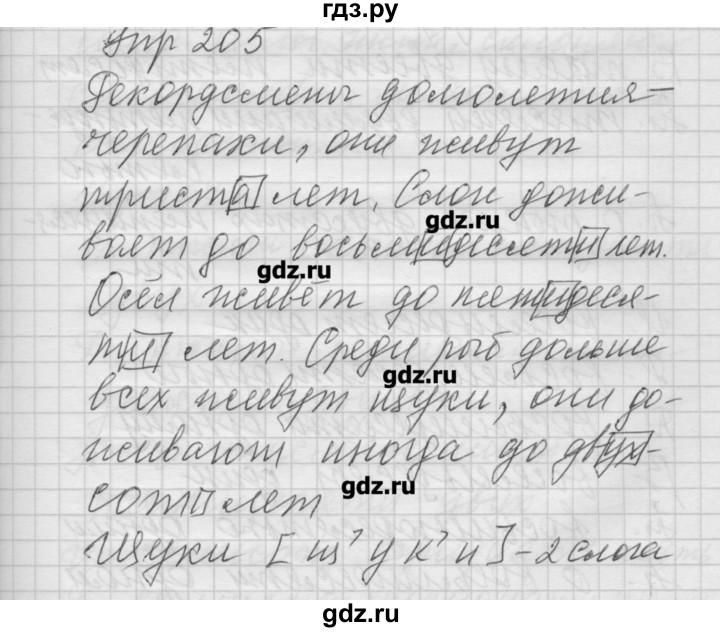 ГДЗ по русскому языку 6 класс Бунеев   упражнение - 205, Решебник